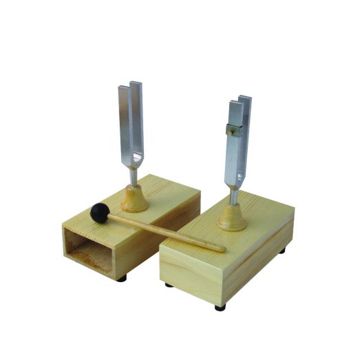 Set dy Diapazonë 440Hz (VL010)