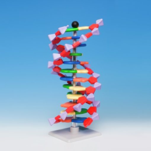Model ADN 12-layer (MD006)