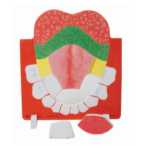 Model i gjuhes, FOAM (MD017)