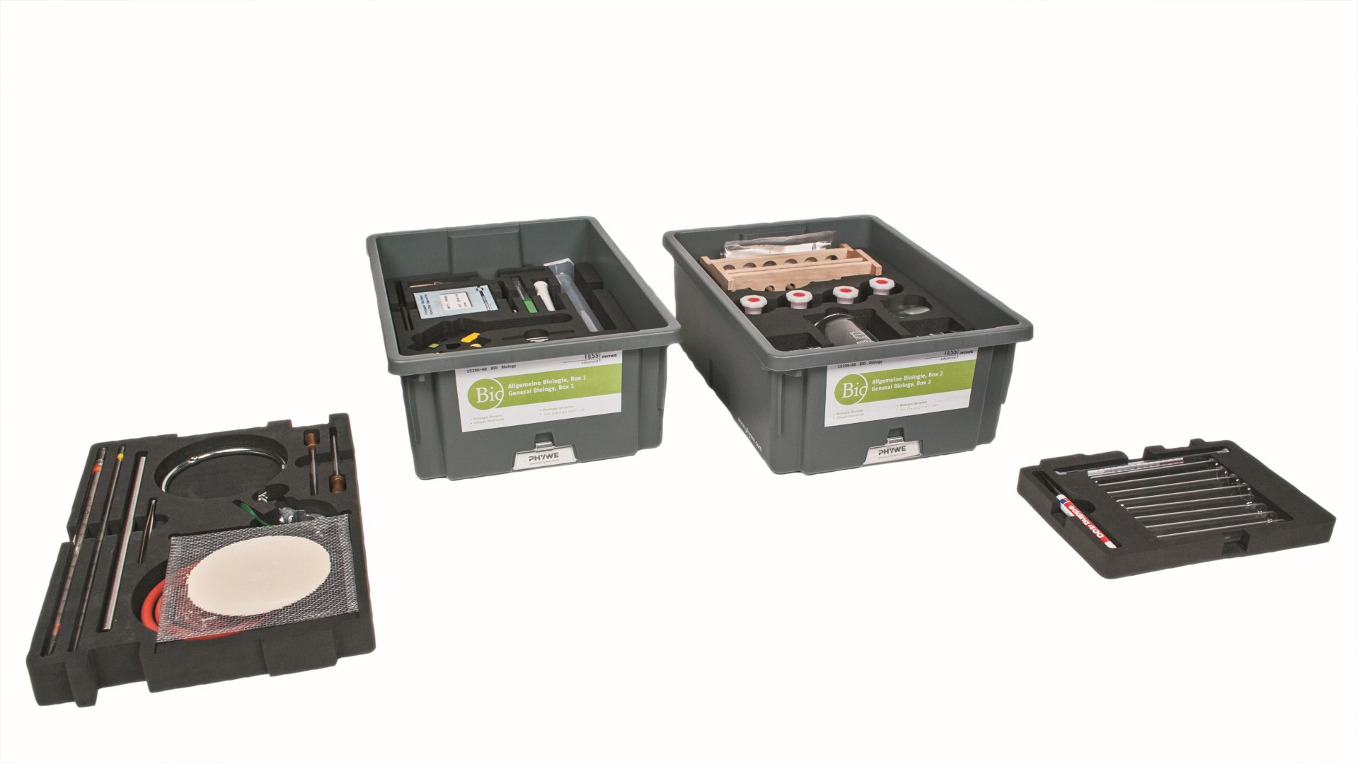 Set studentor për Biologji të Përgjithshme, TESS i Përparuar Biologji