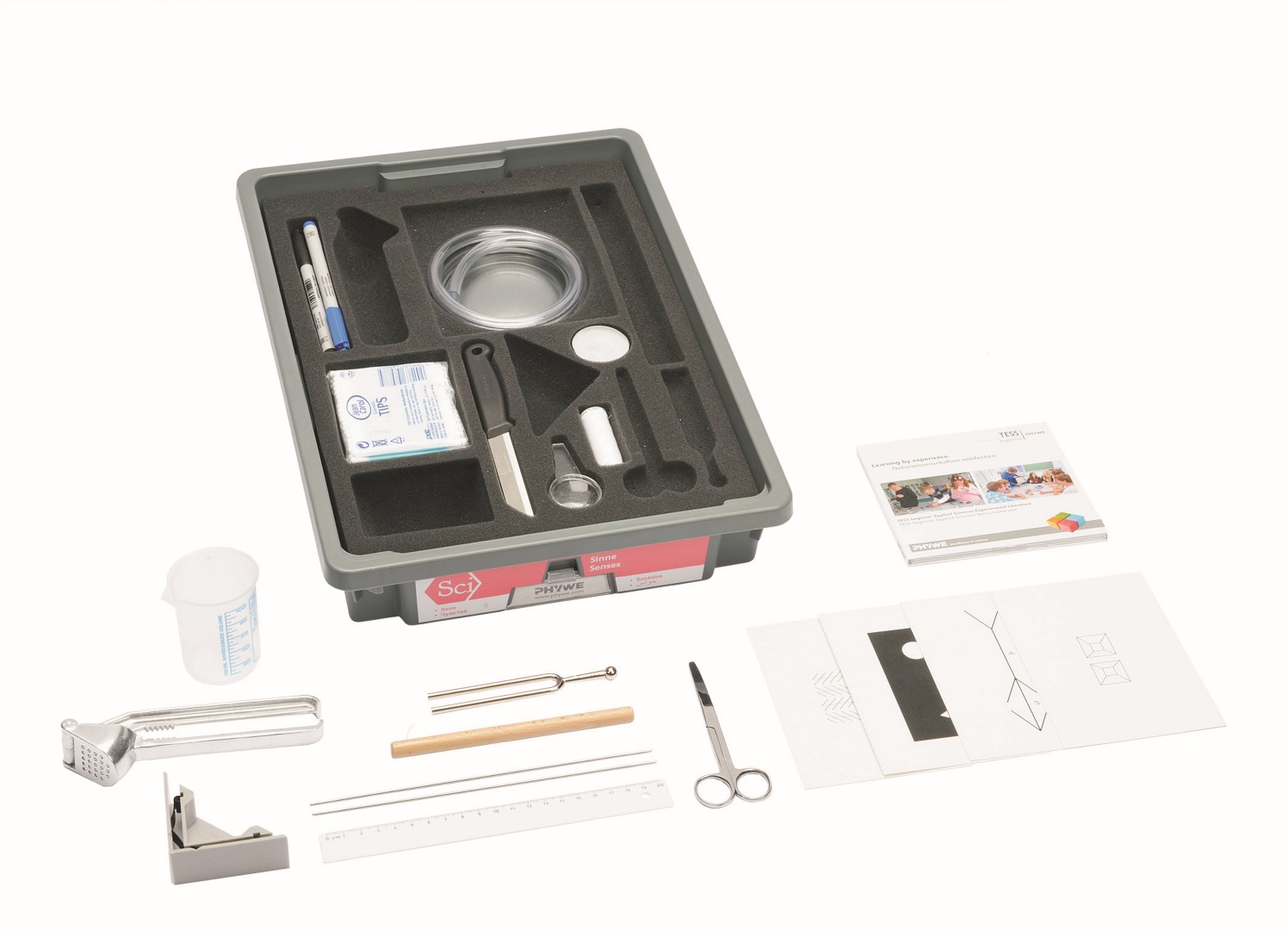 Set studentor për Shqisat, TESS Fillestar Shkenca