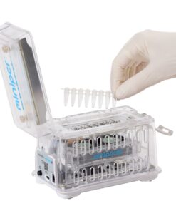 Set PCR (reaksion zinxhir polimeraze)