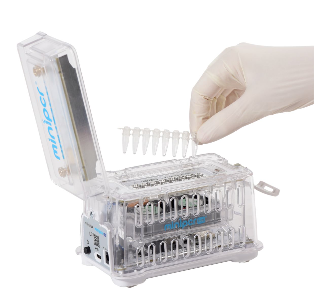 Set PCR (reaksion zinxhir polimeraze)